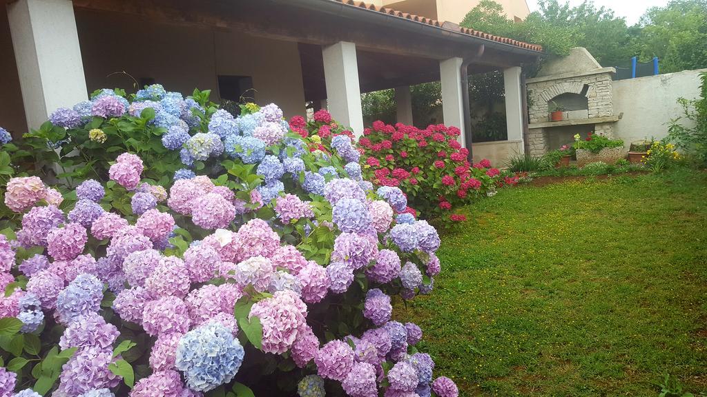 Bed & Breakfast Banjole Dış mekan fotoğraf
